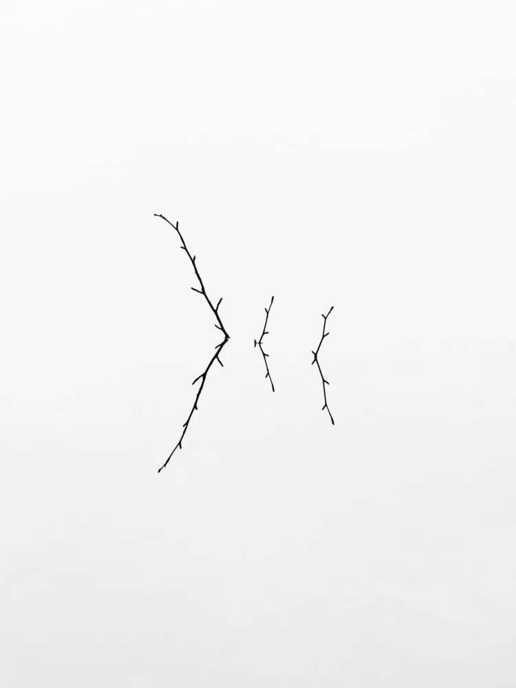 three twigs - Fineart photography by Holger Nimtz