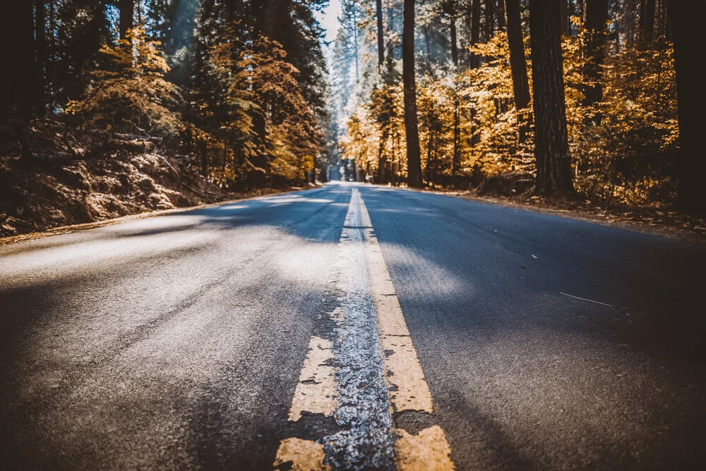 On the way to Yosemite - Fineart photography by Jessica Wiedemann