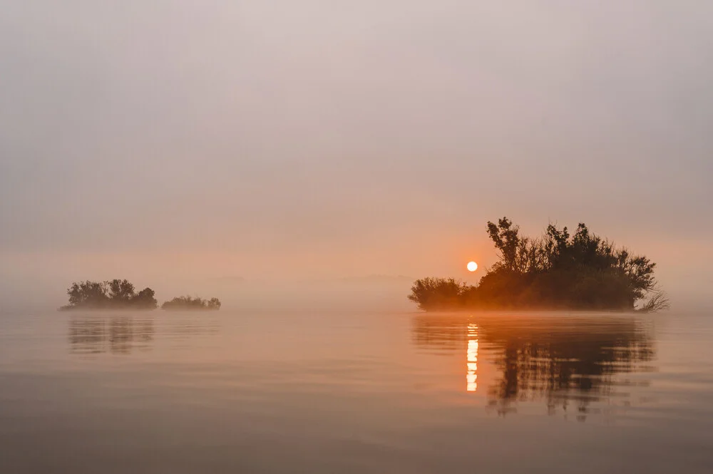 Foggy autumn morning - Fineart photography by Jessica Wiedemann