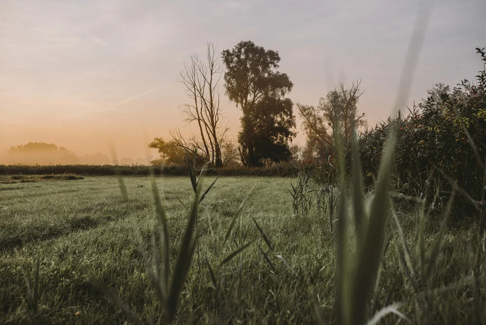 Sonnenaufgang in Bayern - fotokunst von Jessica Wiedemann