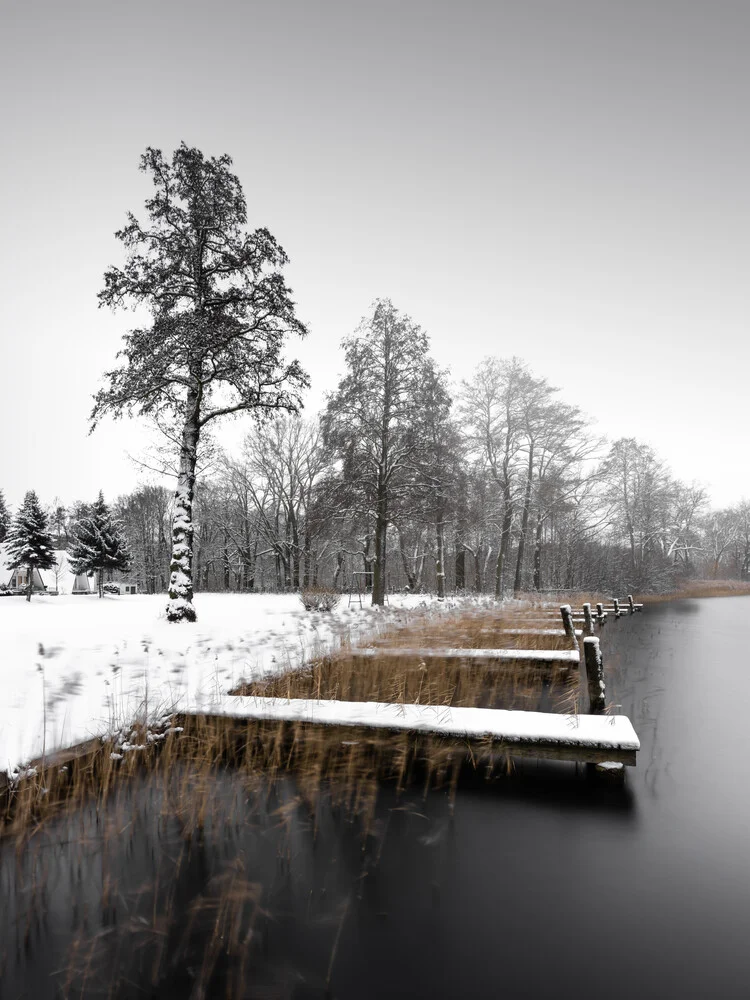 Crowned for eternity | Scharmützelsee - fotokunst von Ronny Behnert