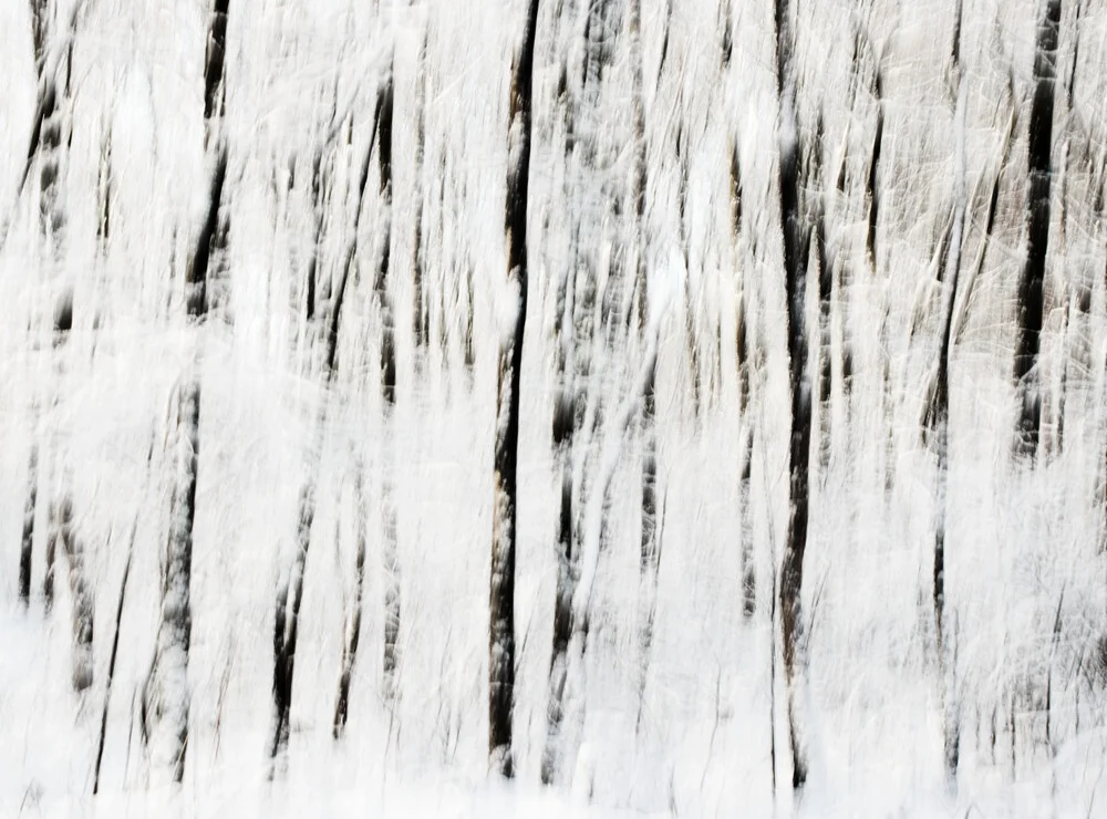 Wintertrees - Fineart photography by Manuela Deigert