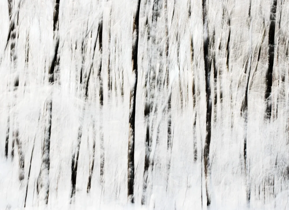 Winterbäume - fotokunst von Manuela Deigert