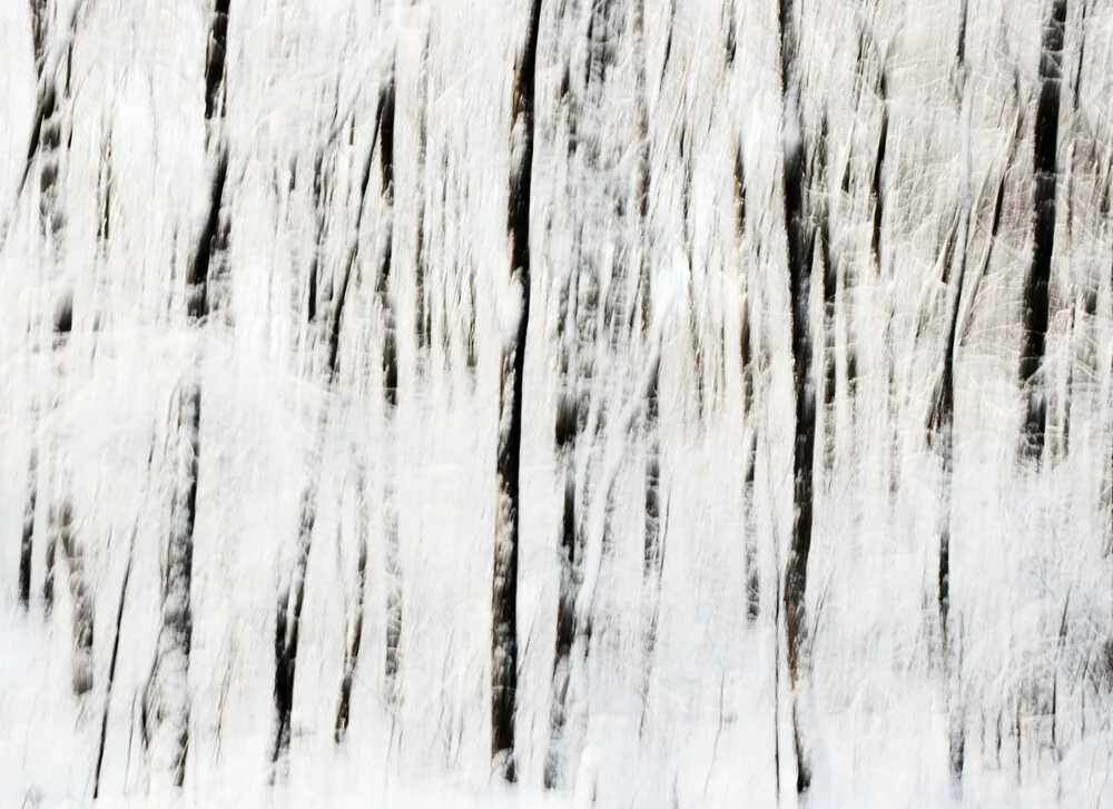 Wintertrees - Fineart photography by Manuela Deigert