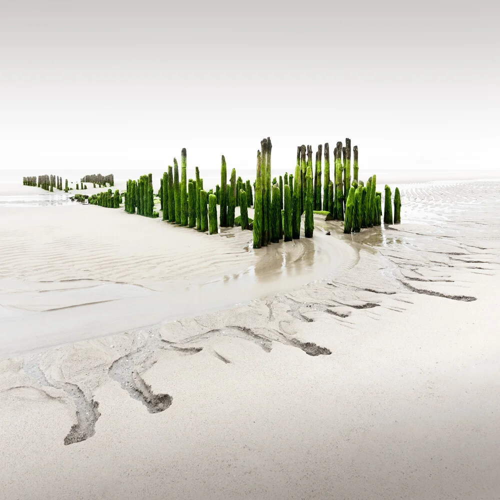 Groynes | Sylt - fotokunst von Ronny Behnert