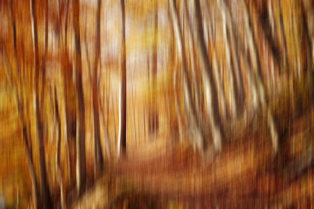 Surrealer Herbstwald - fotokunst von Oliver Henze