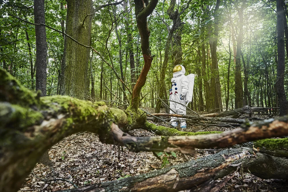 Der Protestonaut im Wald - fotokunst von Sophia Hauk