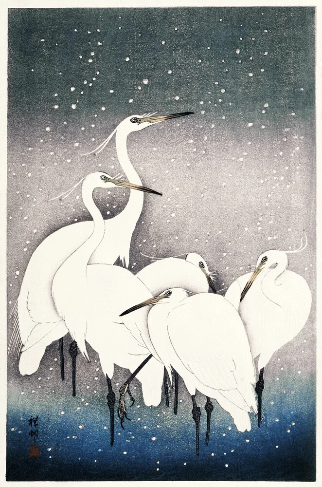 Group of Egrets by Ohara Koson - fotokunst von Japanese Vintage Art