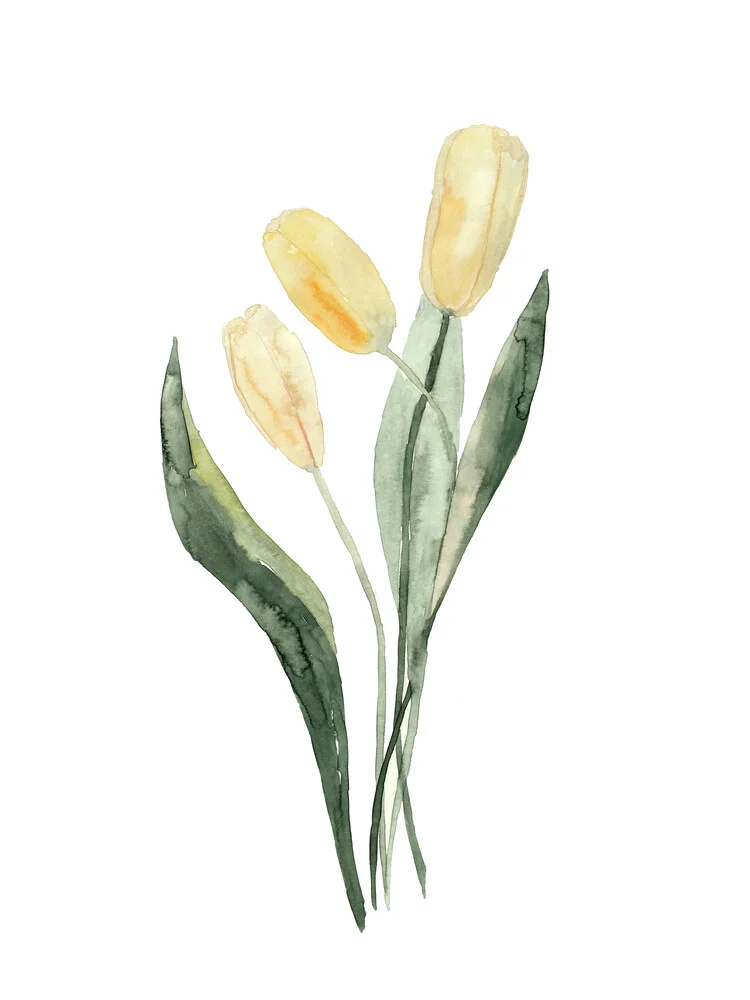 Gelbe Tulpen - fotokunst von Christina Wolff