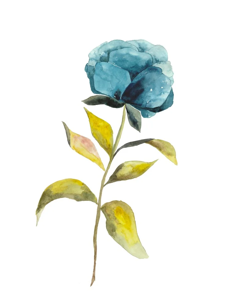 Blue Peony - Fineart photography by Christina Wolff