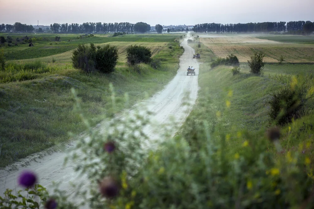 Working field - Fineart photography by George Popescu