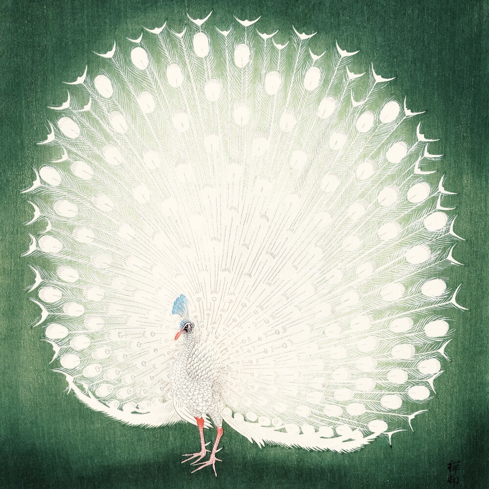 Peacock by Ohara Koson - Fineart photography by Japanese Vintage Art