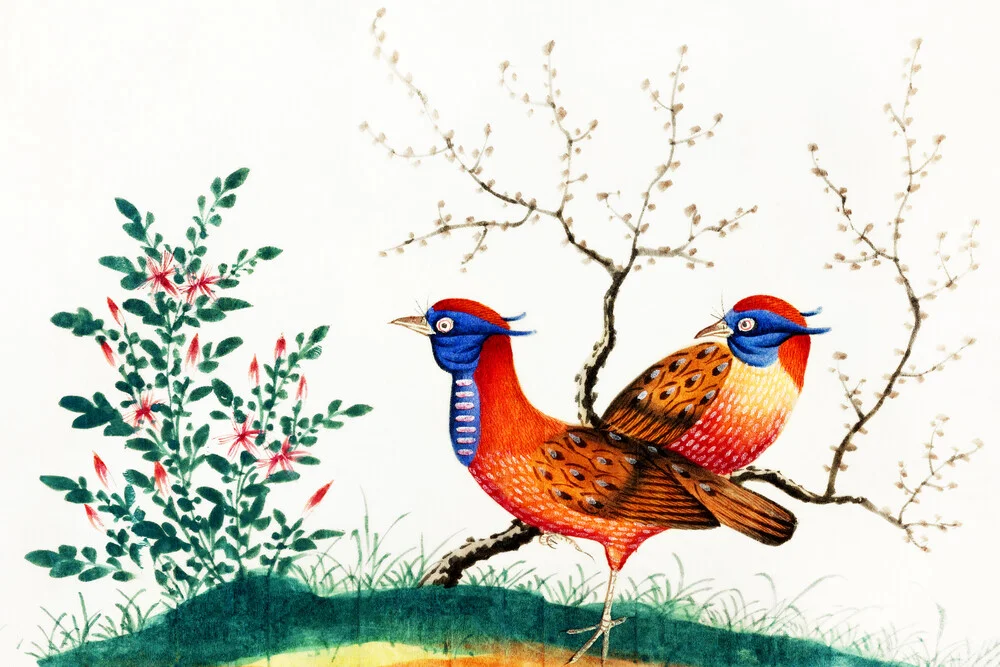 Chinese painting featuring two pheasant-like birds with flowering plants - Fineart photography by Vintage Nature Graphics