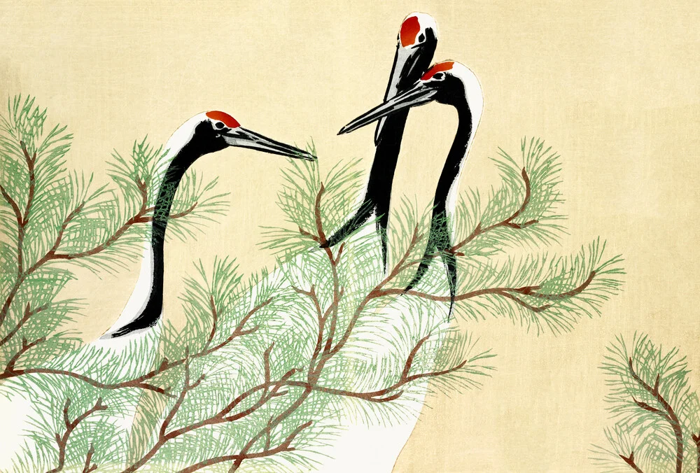 Cranes by Kamisaka Sekka - Fineart photography by Japanese Vintage Art