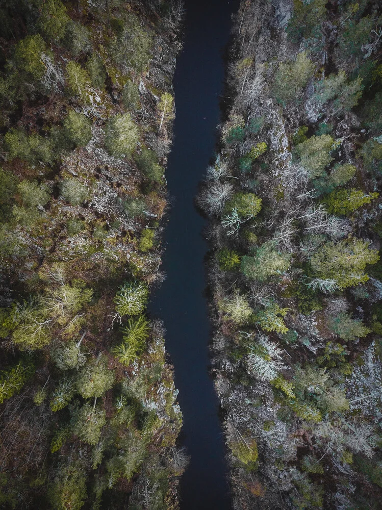 The Stream - fotokunst von Daniel Öberg