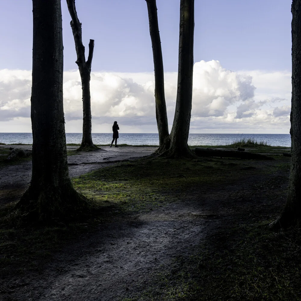 pretty ghost and trees - Fineart photography by Franz Sussbauer