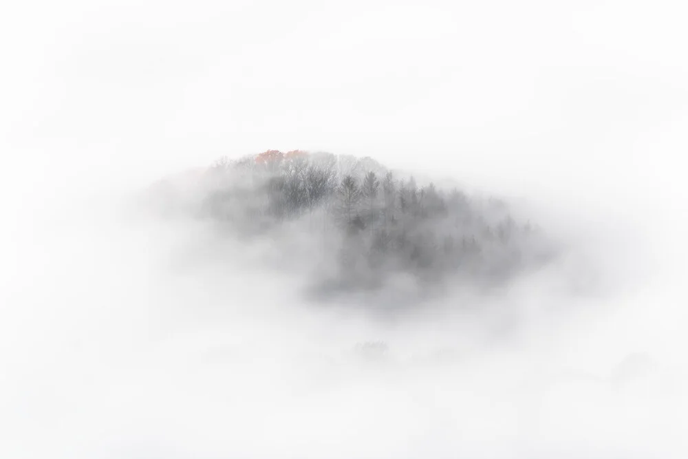 Autumnal fog - Fineart photography by Felix Wesch