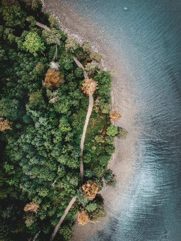 A path in the woods - Fineart photography by Daniel Öberg