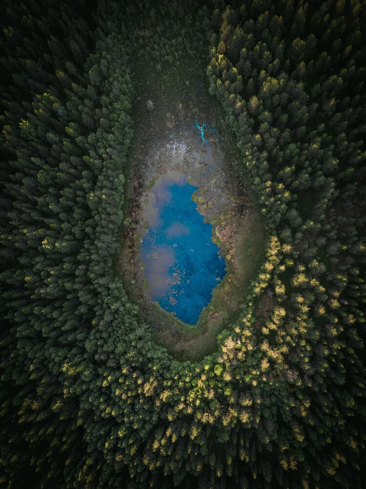 Lake in the forest - fotokunst von Daniel Öberg