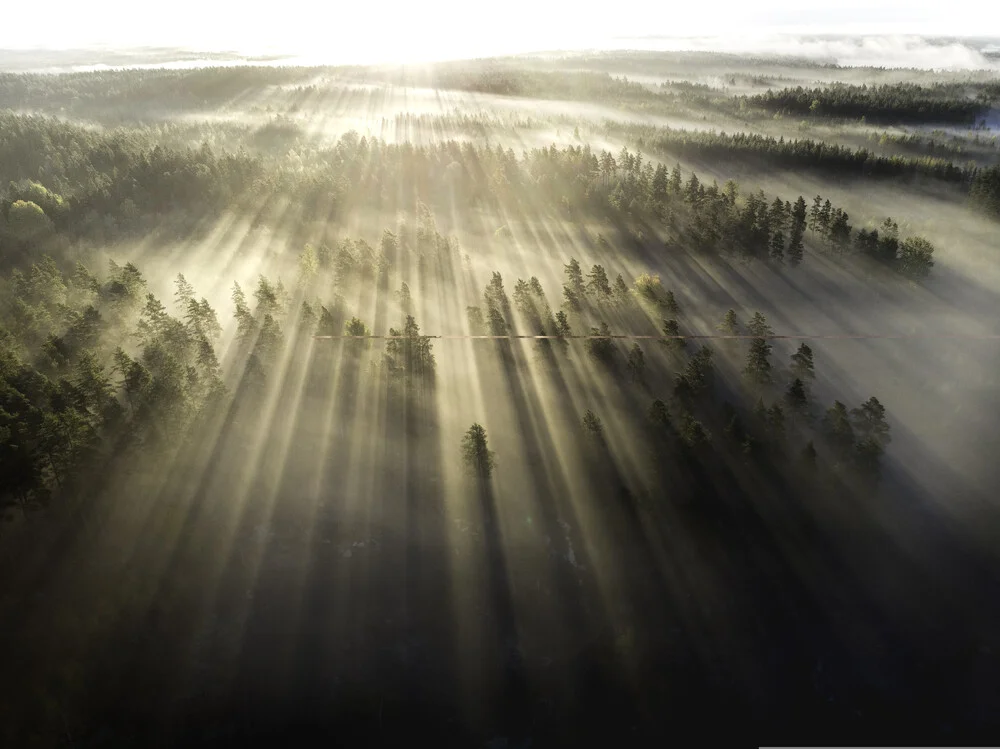 Morning rays - fotokunst von Daniel Öberg