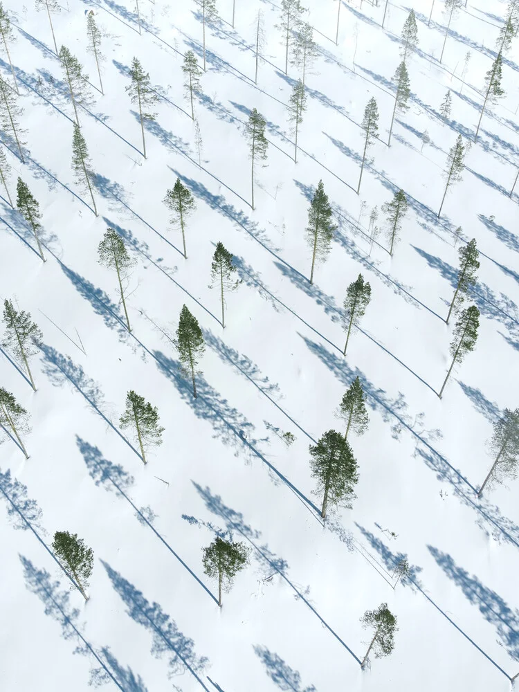 A cutting area from above - fotokunst von Daniel Öberg