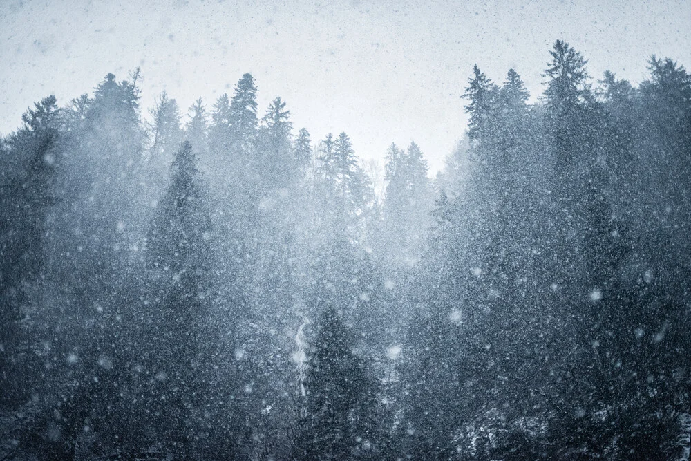 The first snowfall - fotokunst von Alexander Fuchs