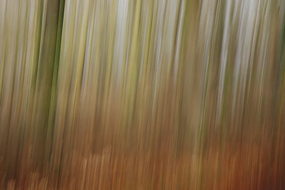 verwischter Wald - fotokunst von Nadja Jacke