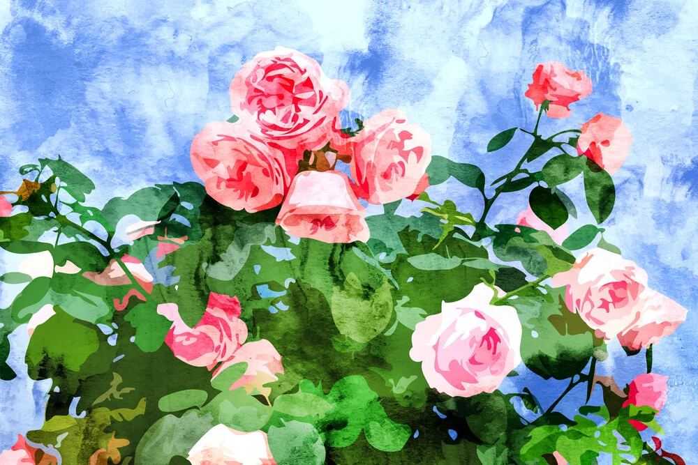 Sweet Rose Garden, Nature Botanical Watercolor Painting, Summer Floral Plants Meadow - fotokunst von Uma Gokhale