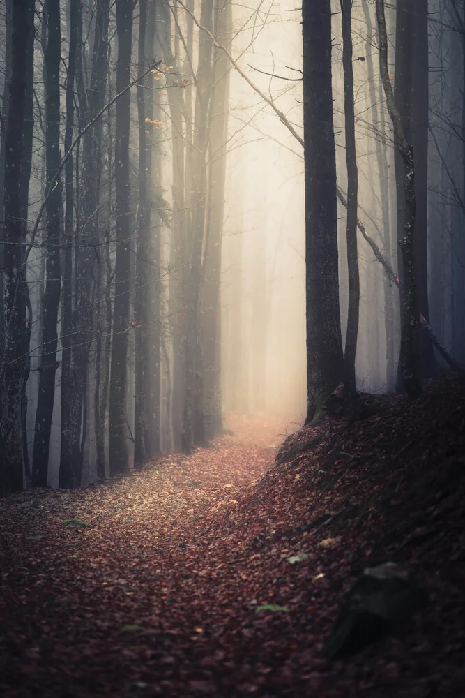 Hallway - Fineart photography by Florian Eichinger