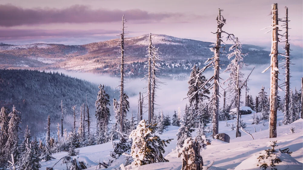 Märchenlandschaft Winter - fotokunst von Florian Eichinger