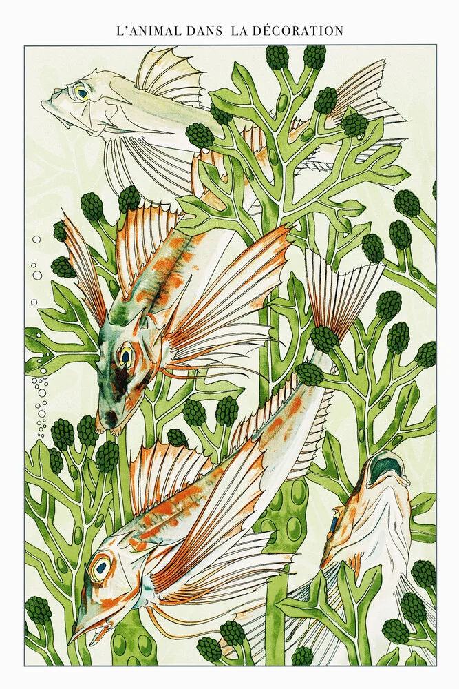 Wandbild 'L'animal Dans La Decoración' – Kunst von Vintage Nature Graphics als Poster oder Acrylglasbild