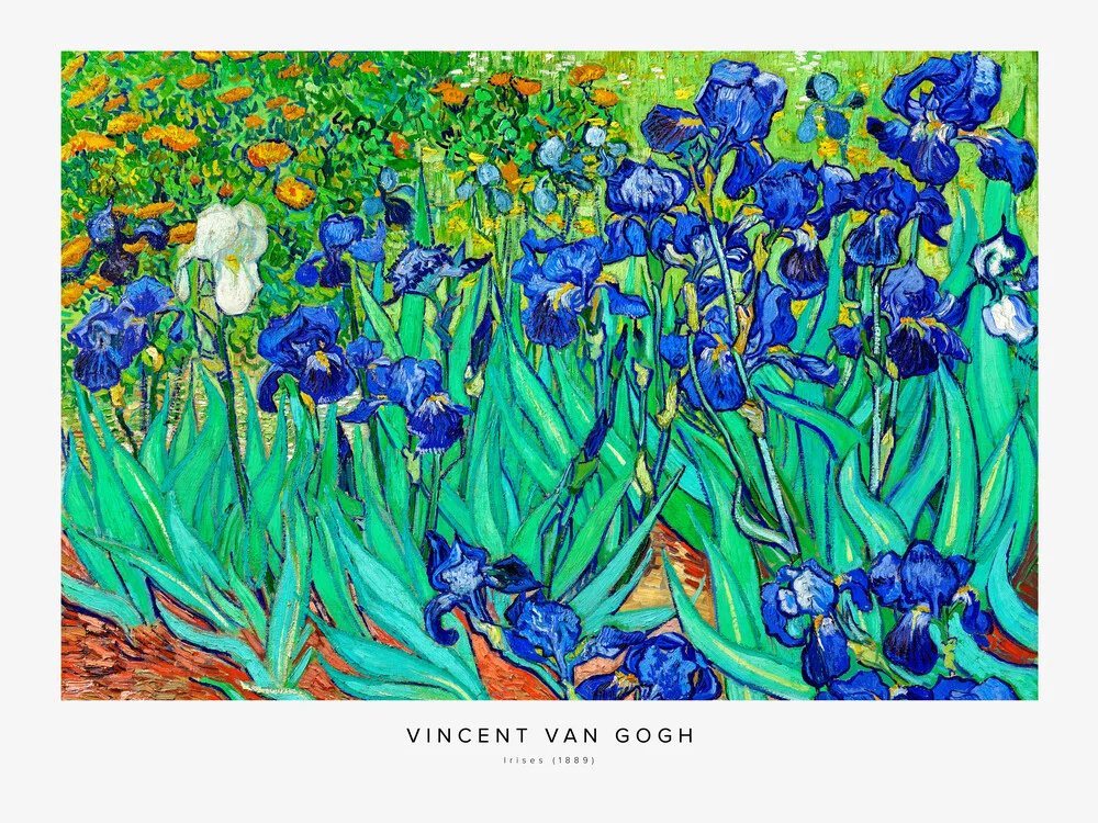 Vincent Van Gogh: Schwertlilien - fotokunst von Art Classics