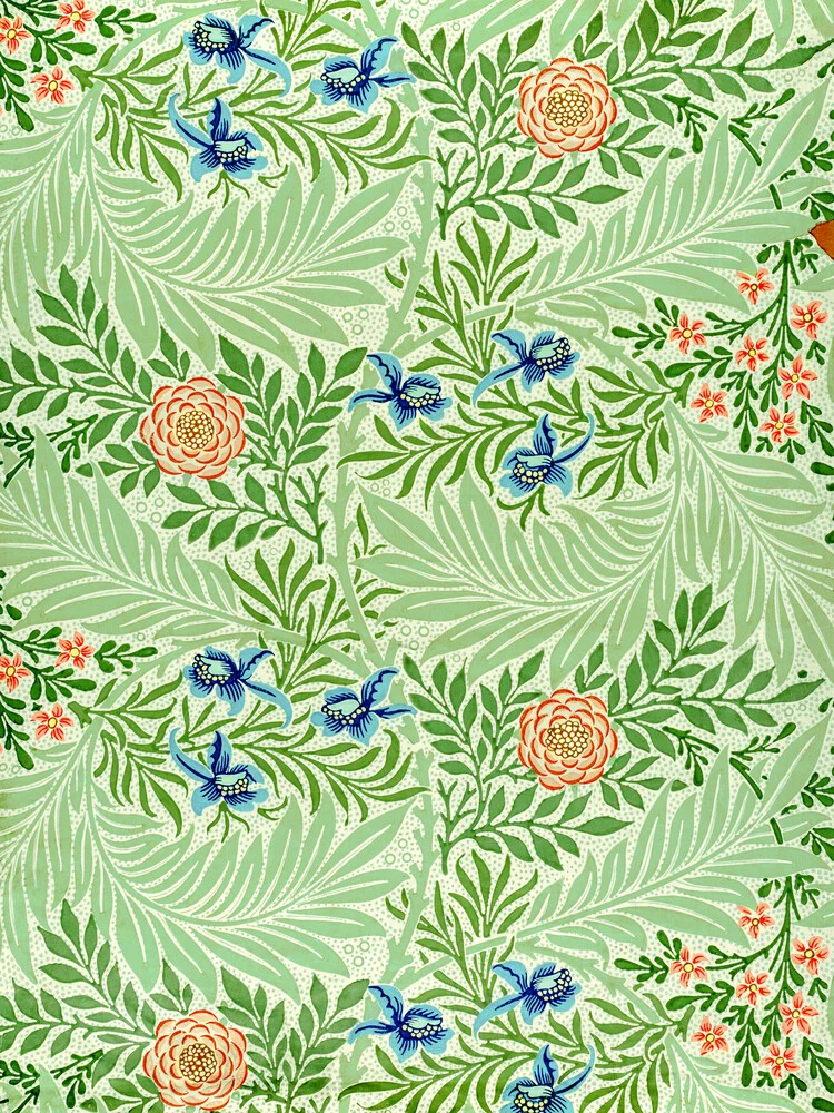 William Morris: Ritterspornmuster - fotokunst von Art Classics