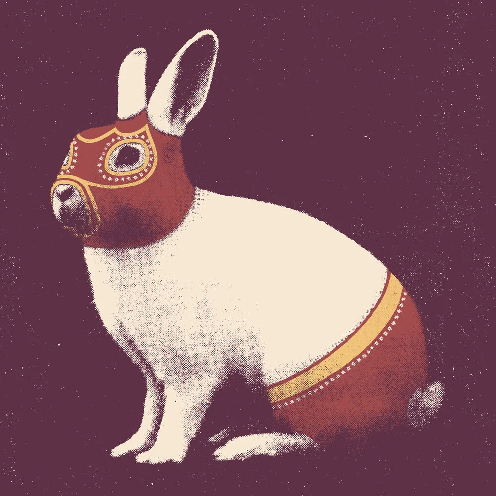 Lapin Catcheur - fotokunst von Florent Bodart