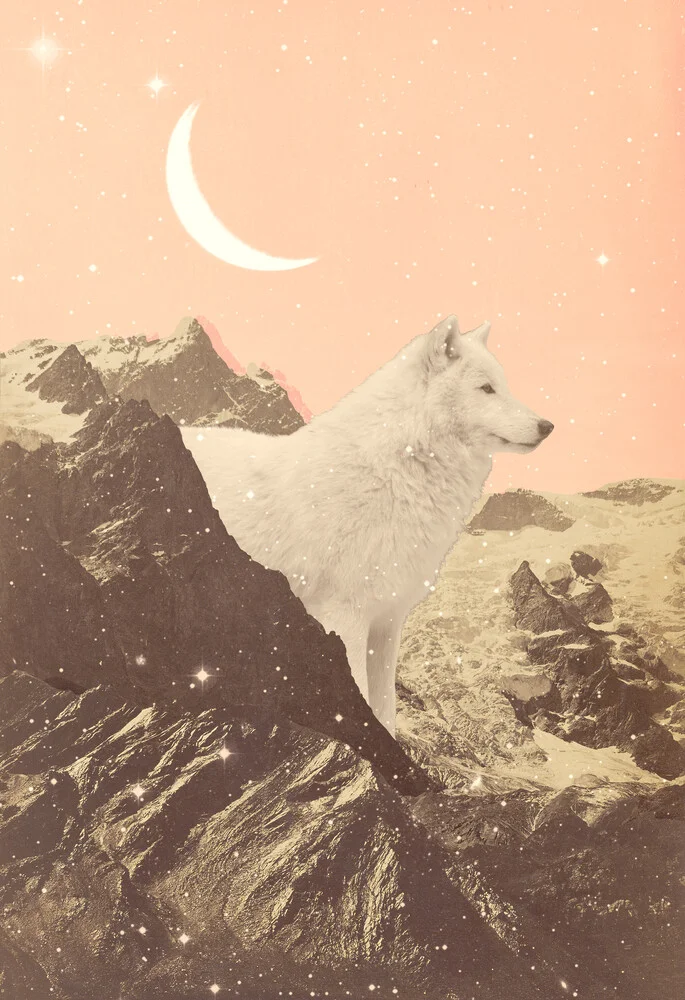 Giant white wolf in the mountains - Fineart photography by Florent Bodart