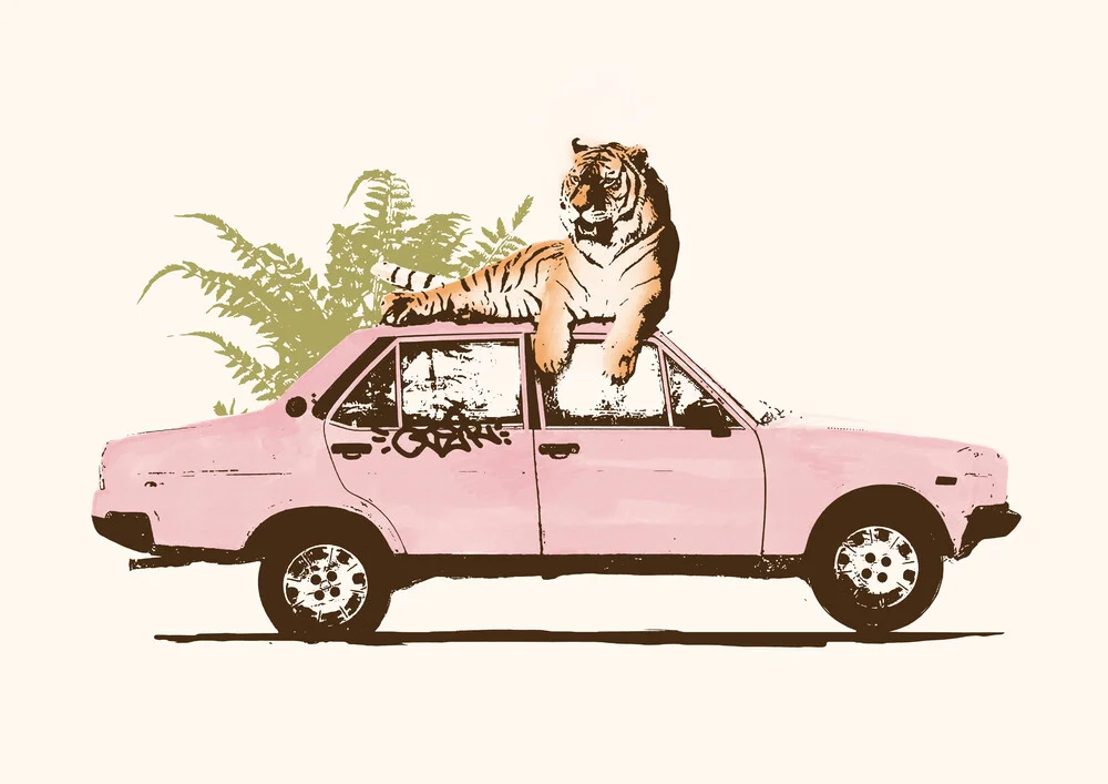 Tiger auf dem Autodach - fotokunst von Florent Bodart
