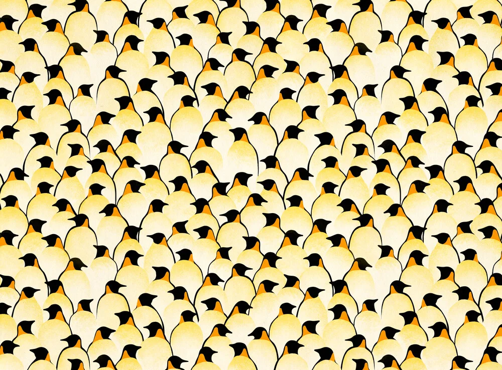 Pinguine - fotokunst von Florent Bodart