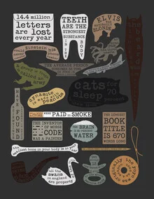 Wall art by Florent Bodart: funny and informative illustration about useful facts