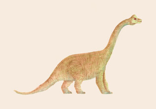 Florent Bodart, Diplodocus (Germany, Europe)