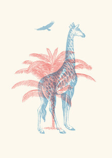 Florent Bodart, Giraffe (Germany, Europe)