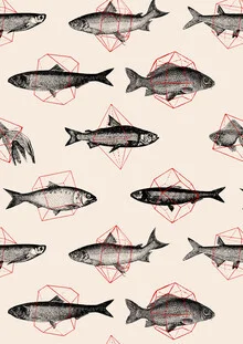 Illustration by Florent Bodart: geometric fish in vibrant colors