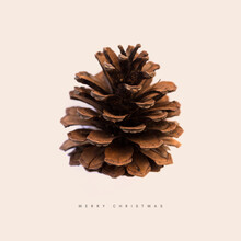 Florent Bodart, Merry Christmas Pine Cone 2 (Germany, Europe)