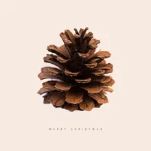 Illustration of a pine cone with festive Christmas design by Florent Bodart.