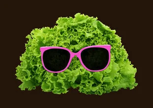 Wall art by Florent Bodart: humorous portrayal of a lettuce head wearing sunglasses
