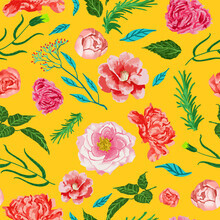 Uma Gokhale, New Summer
