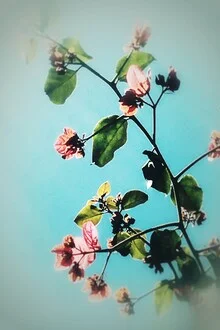 Vibrant photo art by Atelier Posters: floral arrangement in soft colors