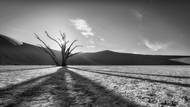 Dennis Wehrmann, Dead Vlei Sossusvlei Namibia (Namibia, Afrika)
