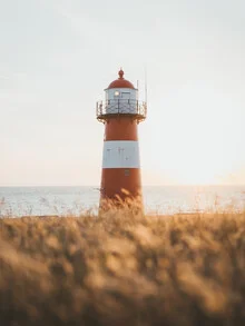 Photo art by Philipp Heigel: Domburg lighthouse at sunset by the sea.