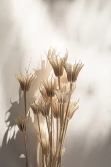 Last Summer 27 - Fineart photography by Mareike Böhmer