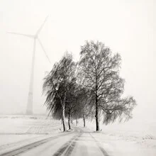 Photo art by Lena Weisbek: winter road surrounded by snow-covered trees